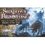 Masters of the Void: Shadows of Brimstone