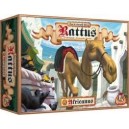 Rattus Africanus