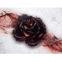 IPERBUNDLE Black Rose Wars Deluxe ITA