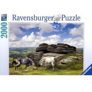 Puzzle 2000 pz Cavalli del Dartmoor, National Park Art.166343 Puzzle 2000 pz Cavalli del Dartmoor, National Park Art.166343
