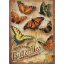 Backyard Butterflies - Cobble Hill Puzzle 500 Pz.