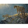 Cougar and Kits - Cobble Hill Puzzle 350 Pz.