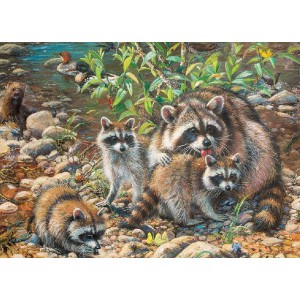 Raccoon Family - Cobble Hill Puzzle 350 pezzi Raccoon Family - Cobble Hill Puzzle 350 pezzi