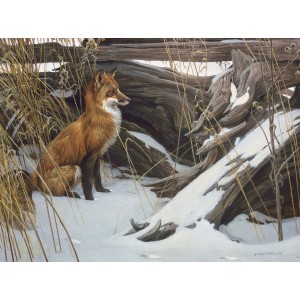 Wily and Wary - Cobble Hill Puzzle 500 pezzi Wily and Wary - Cobble Hill Puzzle 500 pezzi