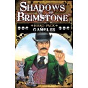 Gambler Hero Pack: Shadows of Brimstone